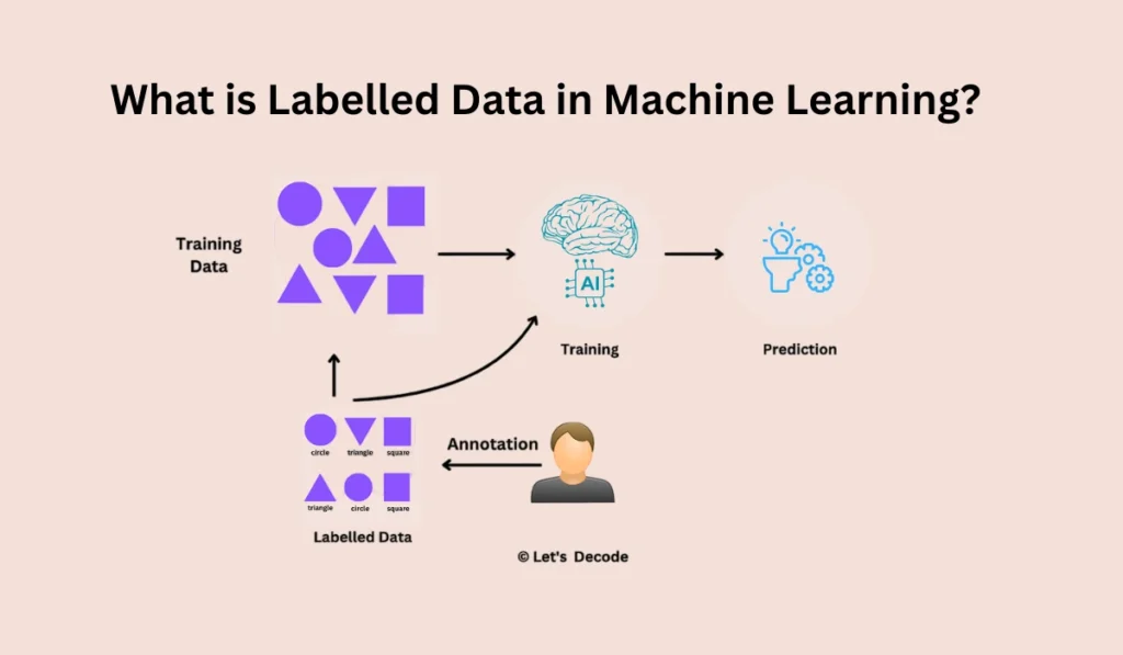 Labelled Data in Machine Learning